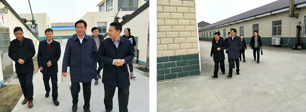 新聞=中共射陽縣委張書記來我集團(tuán)檢查、指導(dǎo)工作02.jpg