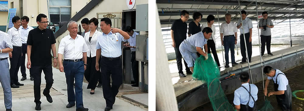 新聞=省委胥秘書長與省農(nóng)業(yè)農(nóng)村廳楊廳長一行及市、縣等領(lǐng)導(dǎo)，來我司視察03.jpg