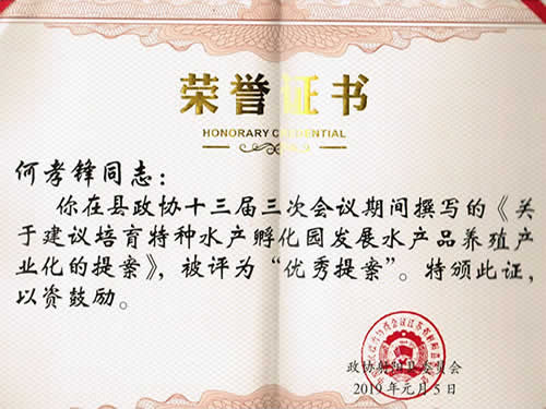 優(yōu)秀提案榮譽證書（2019）