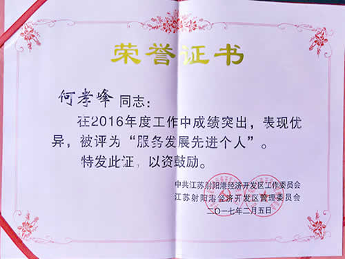 服務(wù)發(fā)展先進個人榮譽證書